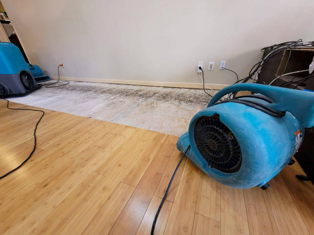 Professional Sewage Cleanup technician working in Freedom, NH